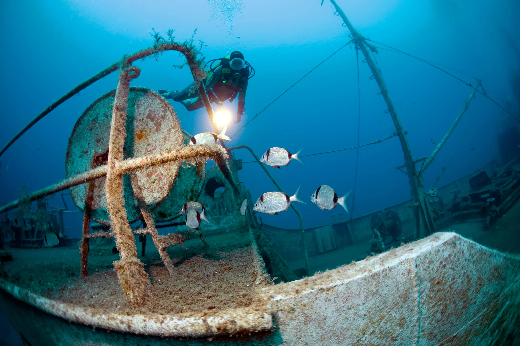 Diving-alamy-things-to-do-in-bodrum